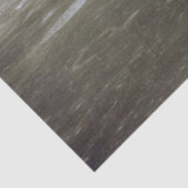 黒い宇宙の月から見た地球:地球の出 薄葉紙 (詳細)