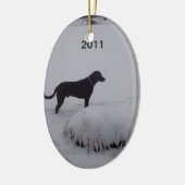 黒い実験室および雪のオーナメント セラミックオーナメント (左)