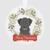 黒い実験室のカスタマイズ可能なオーナメント オーナメント (裏面)