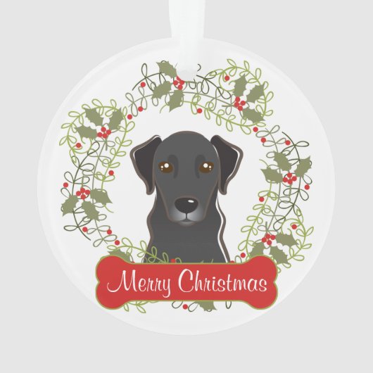 黒い実験室のカスタマイズ可能なオーナメント オーナメント (裏面)