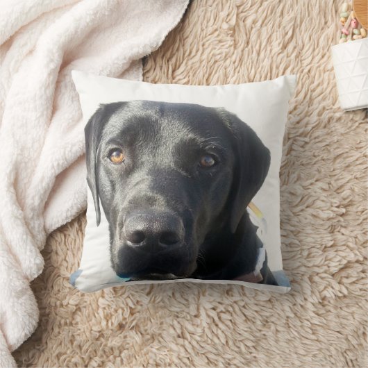 黒い実験室のクッション クッション (ブランケット)