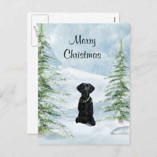 黒い実験室のクリスマス シーズンポストカード (正面/裏面)