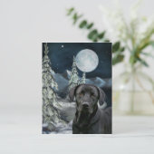 黒い実験室のクリスマス シーズンポストカード (スタンド正面)