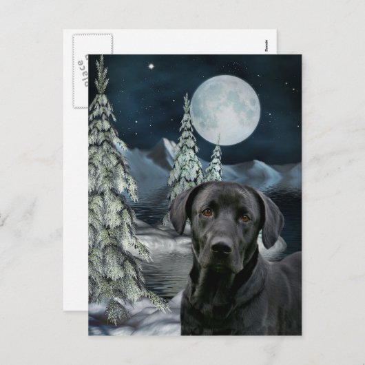 黒い実験室のクリスマス シーズンポストカード (正面/裏面)