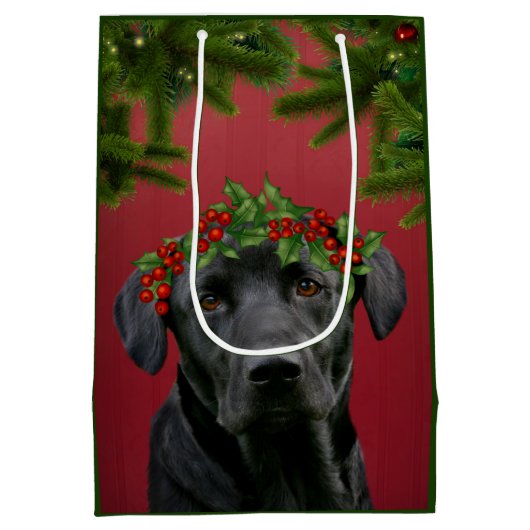 黒い実験室のクリスマス ミディアムペーパーバッグ (裏面)