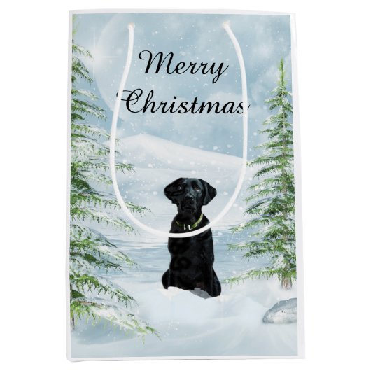 黒い実験室のクリスマス ミディアムペーパーバッグ (正面)