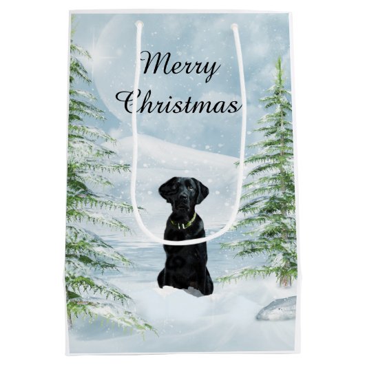 黒い実験室のクリスマス ミディアムペーパーバッグ (裏面)