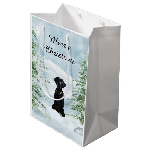 黒い実験室のクリスマス ミディアムペーパーバッグ (裏面アングル)