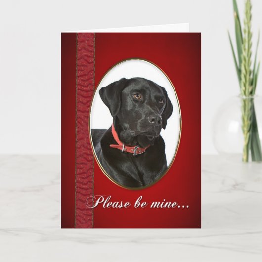 黒い実験室のバレンタイン シーズンカード (正面)