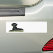 黒い実験室のバンパーステッカー バンパーステッカー (車上)
