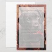 黒い実験室の子犬 便箋 (正面/裏面)