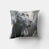 黒い実験室の枕 クッション (裏面)