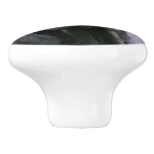 黒い実験室の顔 セラミックノブ (側面)