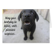 黒い実験室の"気持が良い驚き"のバースデー・カード (正面横)