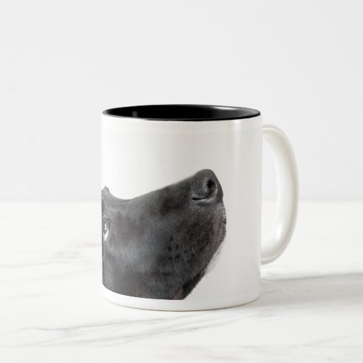 黒い実験室は赤い犬用の骨によって犬を混合しました ツートーンマグカップ (正面右)