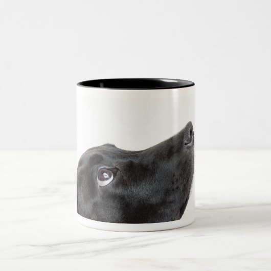 黒い実験室は赤い犬用の骨によって犬を混合しました ツートーンマグカップ (中央)