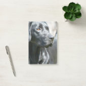 黒い実験室 ポストイット (オフィス)