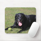 黒い実験室laying.png マウスパッド (マウス)