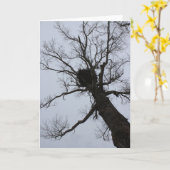 黒い小川の巣 カード (黄色い花)