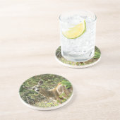 黒い尾シカのコースター コースター (側面)