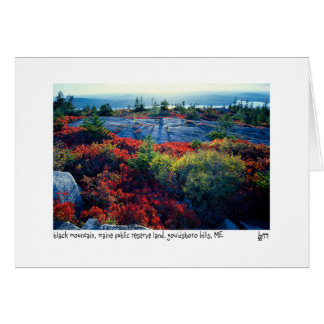 黒い山の写真カード