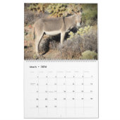 黒い山の野生のブロス カレンダー (3月 2026)