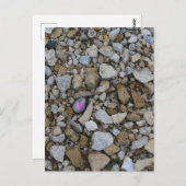 黒い岩に隠れたかわいい紫の小ハート|過去記事 ポストカード (正面/裏面)