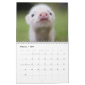 黒い帽子のカレンダーに可愛らしい小さな子豚 カレンダー (2月 2027)