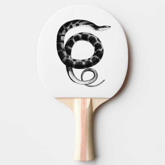 黒い平べったい水蛇 卓球ラケット (正面)