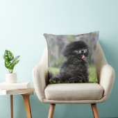 黒い年長のポメラニア犬 クッション (椅子)