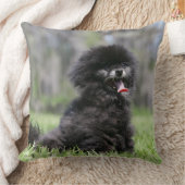 黒い年長のポメラニア犬 クッション (ブランケット)