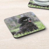 黒い年長のポメラニア犬 コースター (左側)