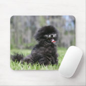 黒い年長のポメラニア犬 マウスパッド (マウス)