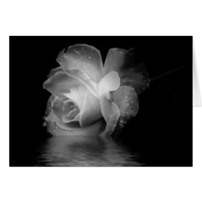 黒い影は上がりました (正面横)