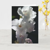 黒い挨拶状の白い花 カード (黄色い花)