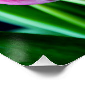 黒い数々の背景のチューリップの花 ポスター (コーナー)