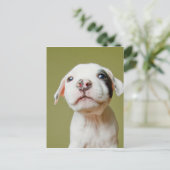 黒い斑点のある目を持つピットブル ポストカード (スタンド正面)