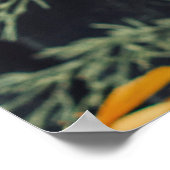 黒い木の背景に様々な花。アブ ポスター (角)