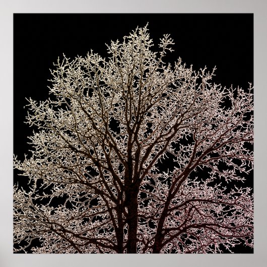 黒い木 ポスター (正面)