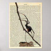 黒い未亡人スパイダー，ゴシック様式，自然，荒地恐怖症 ポスター (正面)