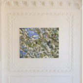 黒い果実の付いたグリーンオリーブの木 ポスター