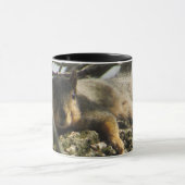 黒い柄の可愛いリスのコーヒーマグ マグカップ (中央)