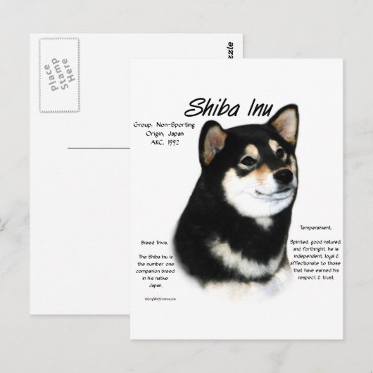黒い柴犬履歴 ポストカード (正面/裏面)