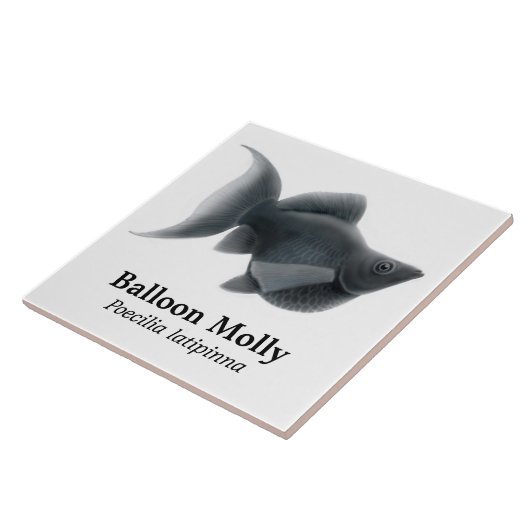 黒い気球のモーリーのタイル タイル (側面)