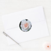 黒い淡い色の背景にピンクのローズブド ラウンドシール (封筒)