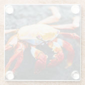 黒い溶岩の石のサリーのlightfootのカニ ガラスコースター (裏面)