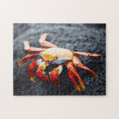 黒い溶岩の石のサリーのlightfootのカニ ジグソーパズル (横)