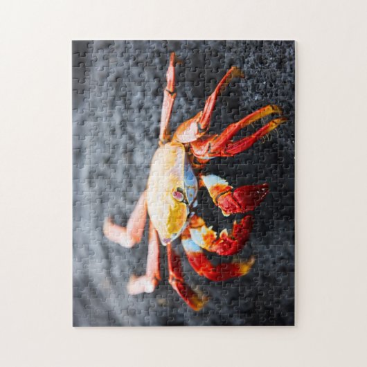 黒い溶岩の石のサリーのlightfootのカニ ジグソーパズル (縦)