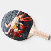 黒い溶岩の石のサリーのlightfootのカニ 卓球ラケット (横)