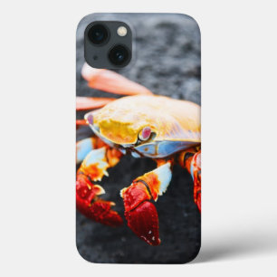 黒い溶岩の石のサリーのlightfootのカニ iPhone 13ケース